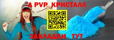 a pvp Новозыбков