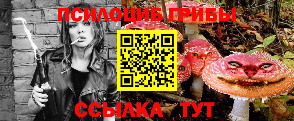 Псилоцибиновые грибы Psilocybine cubensis  Вход с VPN  Владимир 