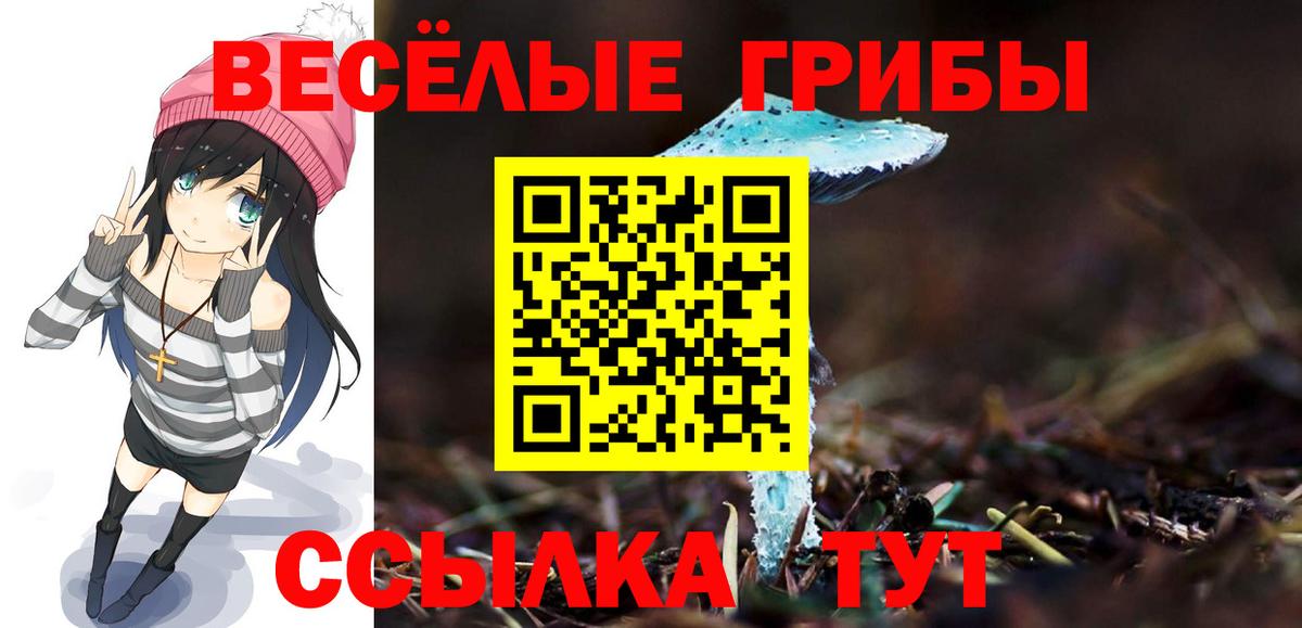 Галлюциногенные грибы GOLDEN TEACHER Владимир